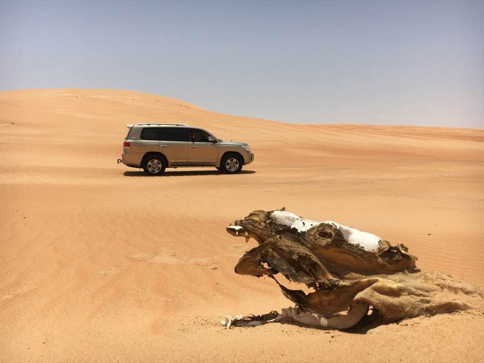 desert safari abu dhabi private