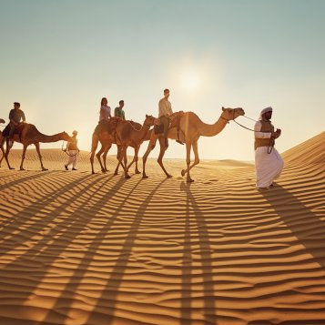 Desert Safari Abu Dhabi | Book Abu Dhabi Camel Trek