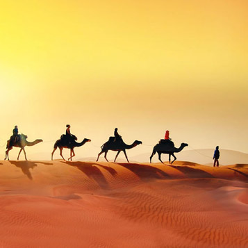 Sunrise Desert Safari Abu Dhabi - Trending Abu Dhabi Desert Safari Tours