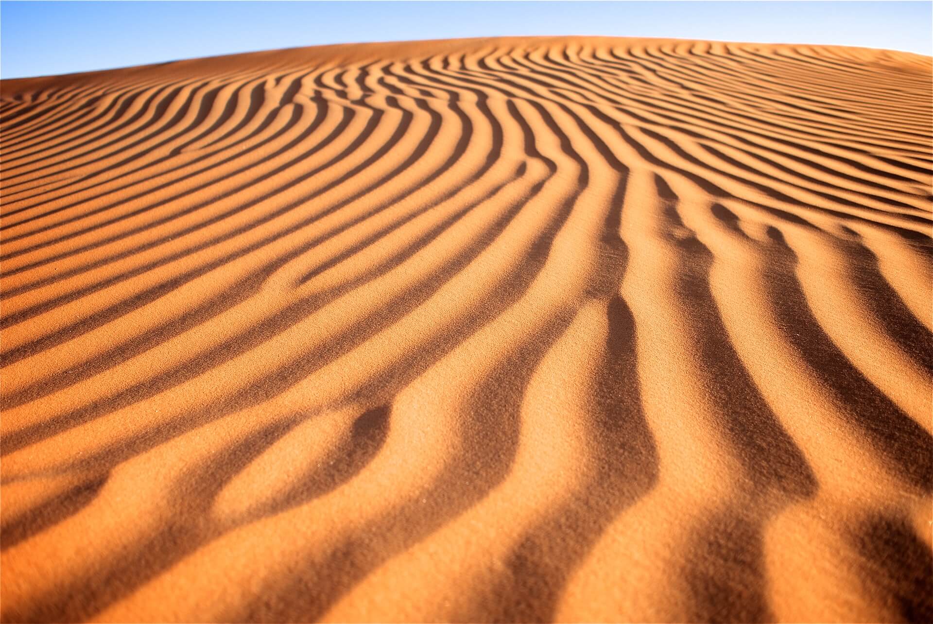 Desert Safari Abu Dhabi - Book Al Khatim - Al Khaznah Desert Safari