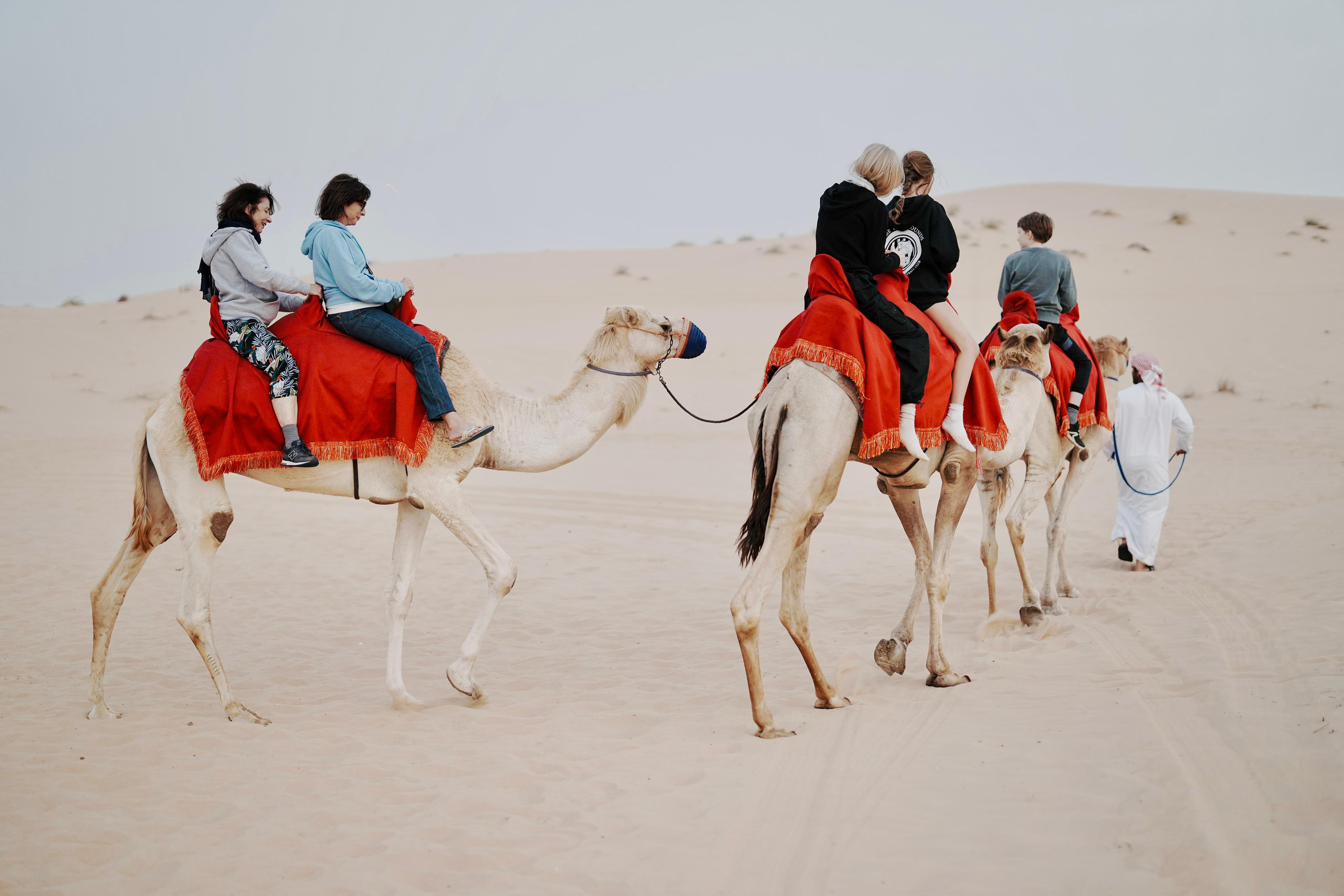 Bedouin Desert Safari Tour from Abu Dhabi