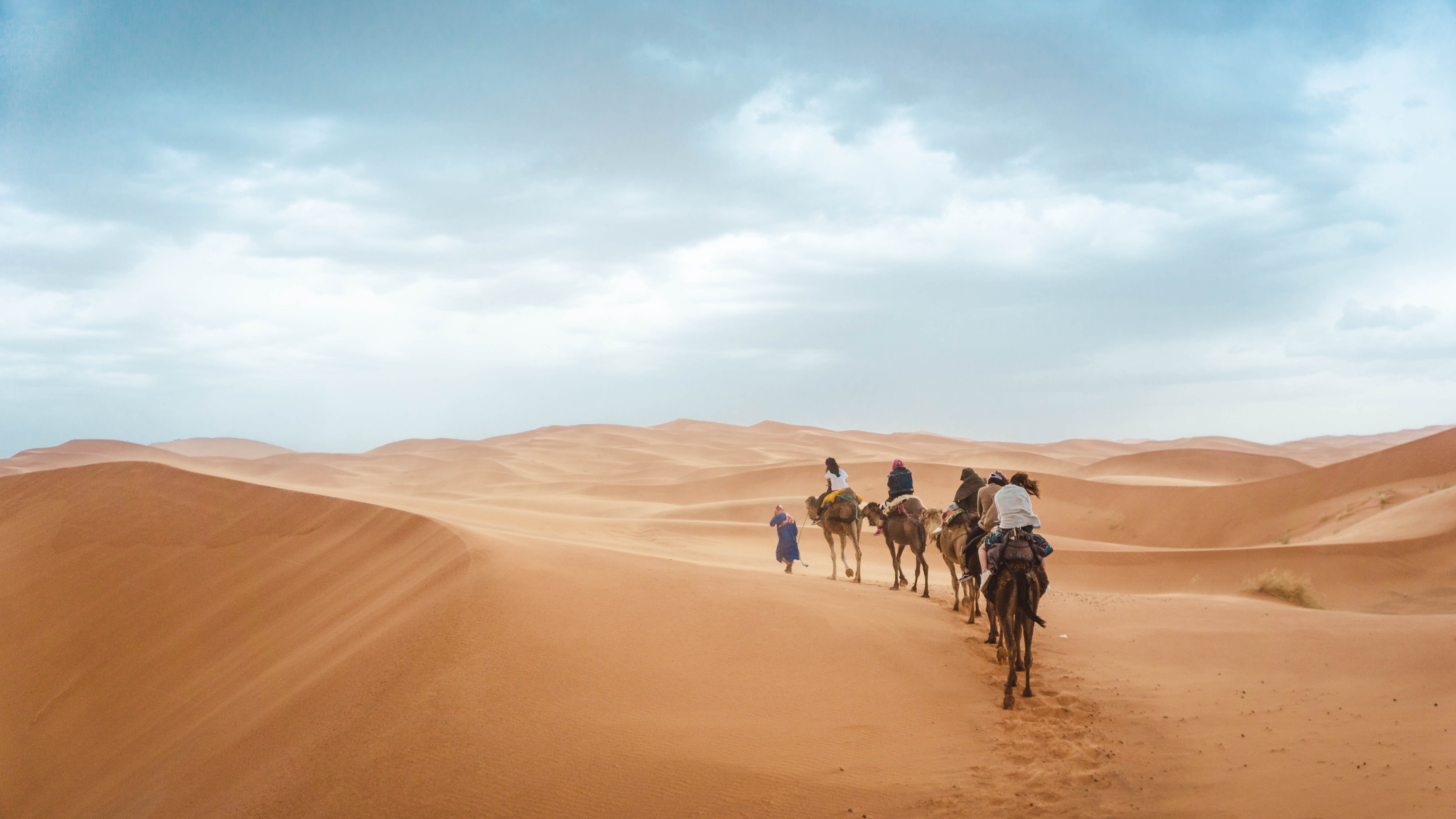 Book Sunset Camel Riding Tour in  Abu Dhabi at best Price