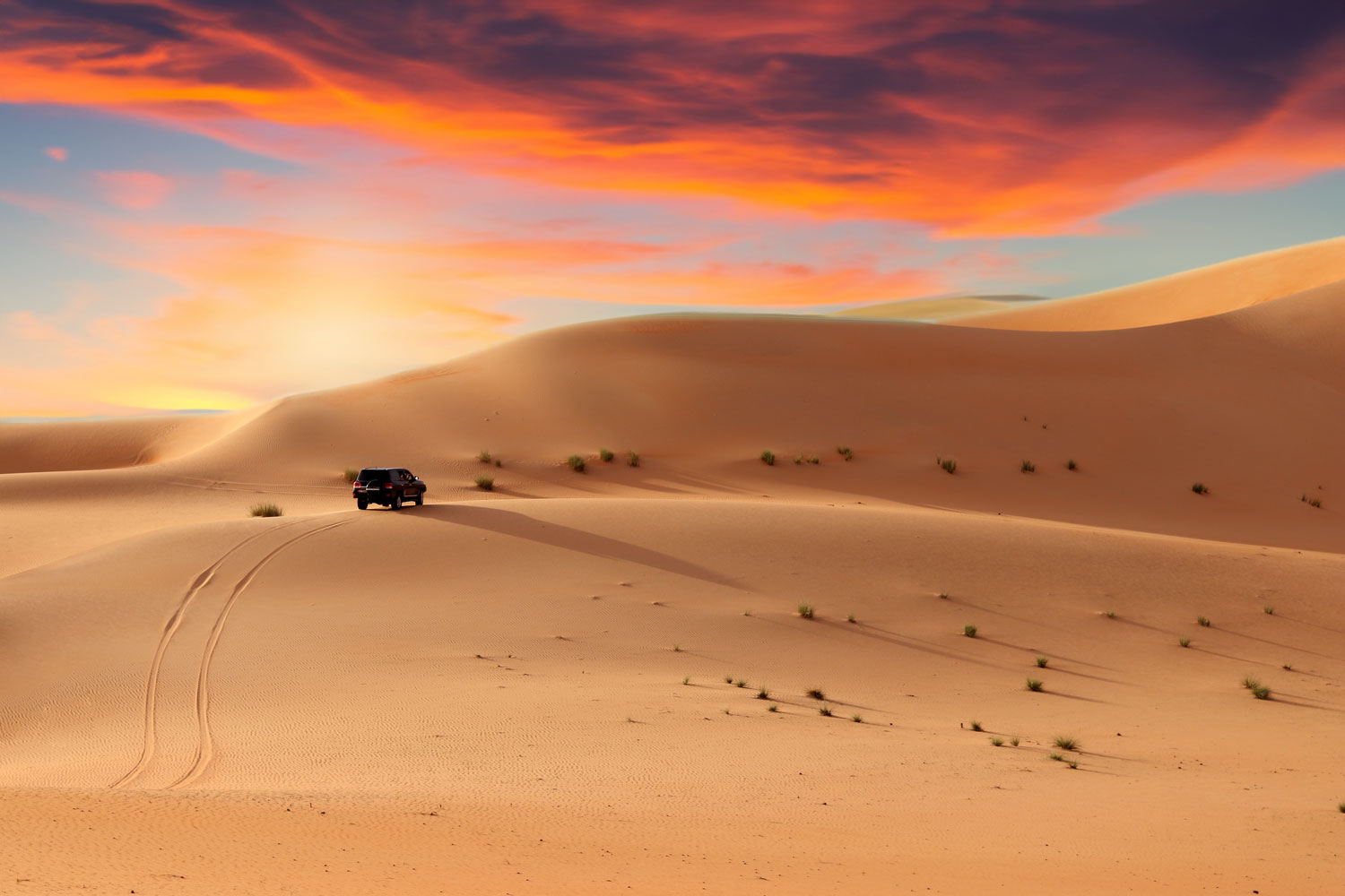 Desert Safari Abu Dhabi - Book Sundowner Dune Safari Abu Dhabi