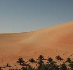 Desert Safari Abu Dhabi - Book Liwa Oasis Tour