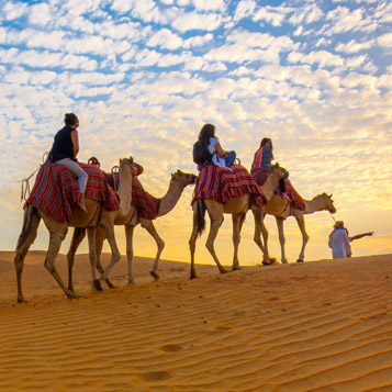 Book Morning Desert Safari Abu Dhabi - Trending Abu Dhabi Morning Desert Safari Abu Dhabi Package